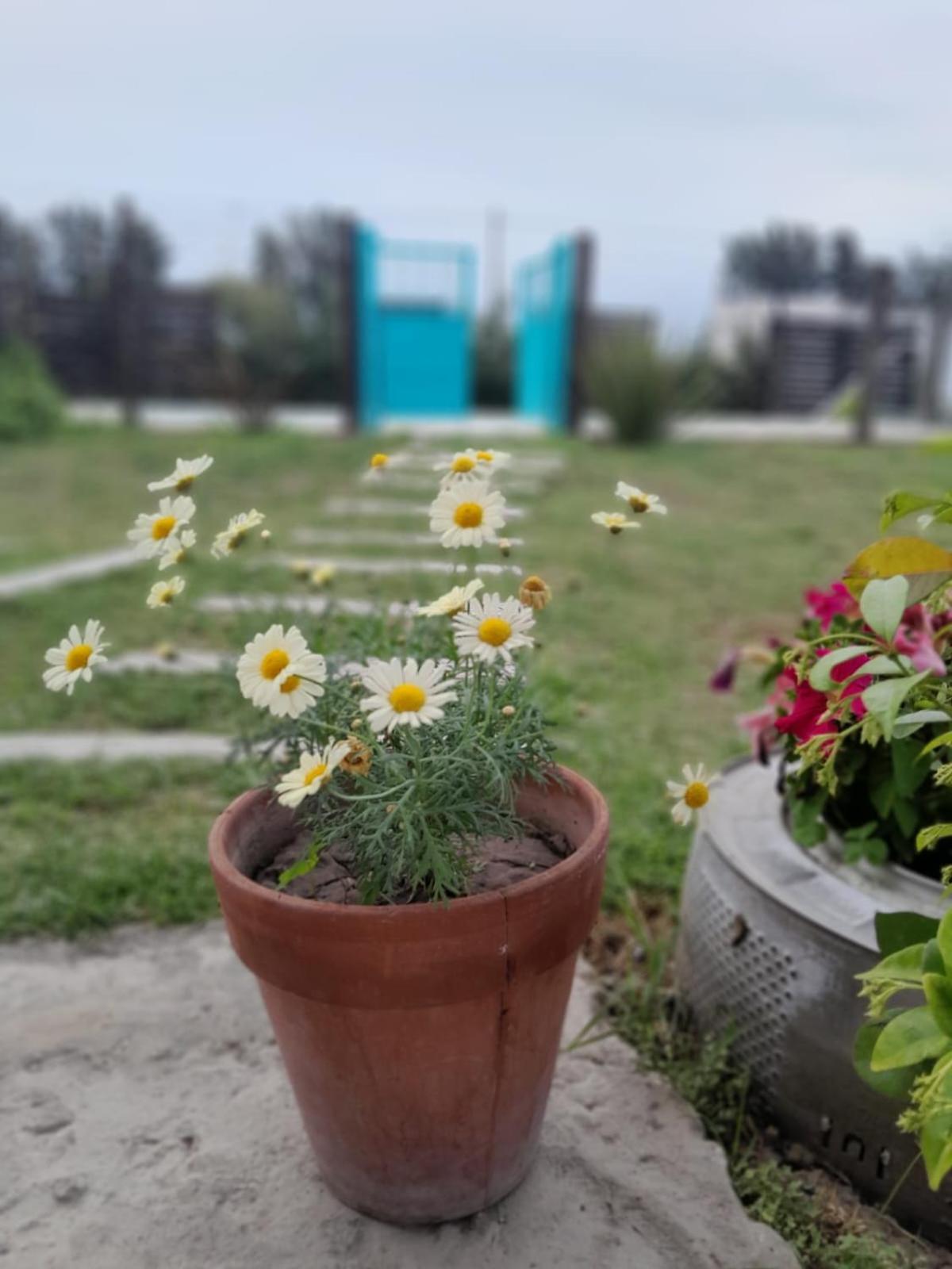 La Nicasia De San Pedro
