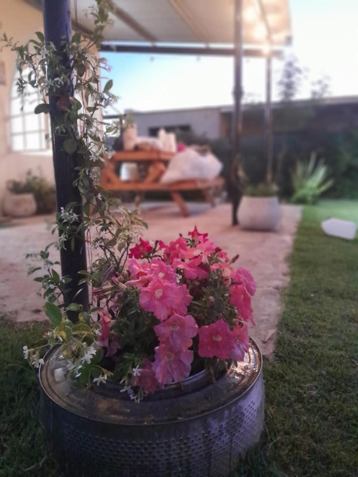 La Nicasia De San Pedro Holiday home
