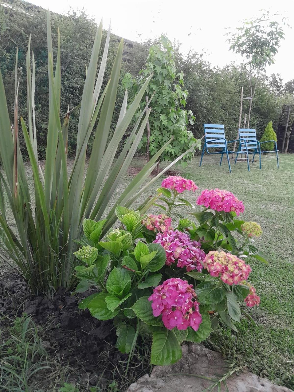 La Nicasia De San Pedro Holiday home San Pedro (Buenos Aires)
